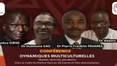 Photo de Dynamiques multiculturelles : Identité, diversité et pluralisme au cœur du vivre-ensemble