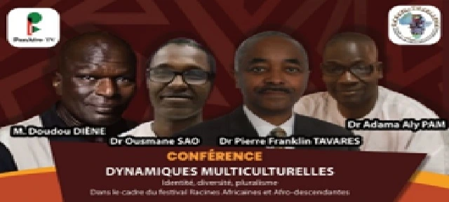 photographie symbolique du Festival Racines africaines et afro-descendants