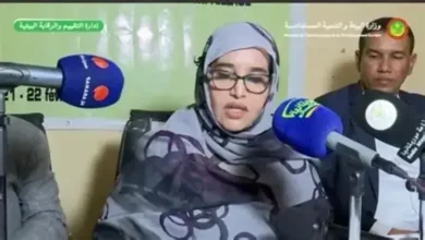 Nouakchott : un rêve de ville verte face à un projet de 110 km d’arbres 4 Photo de Nouakchott : un rêve de ville verte face à un projet de 110 km d’arbres