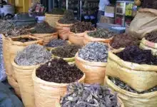 Photo de Les dangers de l’automédication contre la fièvre : quand les remèdes maison deviennent risqués