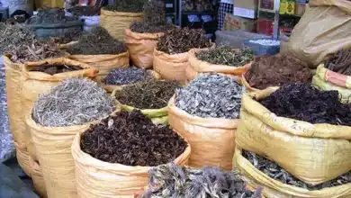 Photo de Les dangers de l’automédication contre la fièvre : quand les remèdes maison deviennent risqués