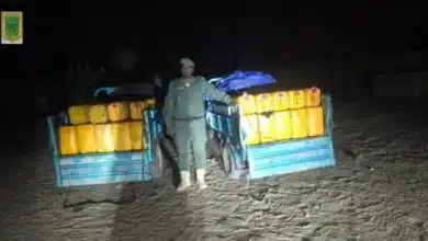 Photo de Saisie de plus de 8,4 tonnes de carburants destinés à la contrebande dans le Hodh Ech Chargui