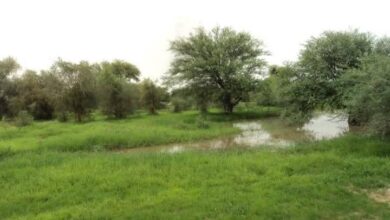 Photo de Brakna : tensions communautaires autour du foncier – Comment réconcilier les parties ?