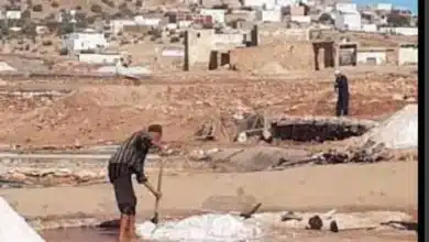 Photo de Les salines de Dar Beyda : une préoccupation environnementale et sanitaire majeure