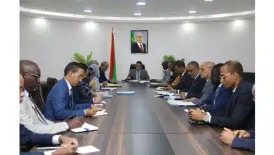 Formation professionnelle et artisanat : le gouvernement engage une réforme institutionnelle de fond 2 Photo de Formation professionnelle et artisanat : le gouvernement engage une réforme institutionnelle de fond