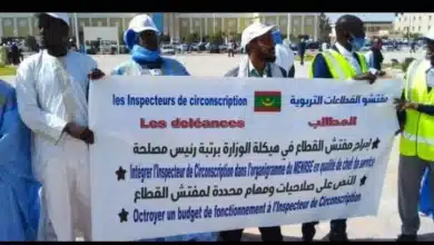 Réforme du système éducatif : les inspecteurs de l’enseignement fondamental réclament justice et revalorisation 1 Photo de Réforme du système éducatif : les inspecteurs de l’enseignement fondamental réclament justice et revalorisation