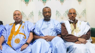 Ouadane : le parti El Insaf mobilise avant la visite du président Ghazouani 2 Photo de Ouadane : le parti El Insaf mobilise avant la visite du président Ghazouani