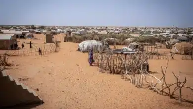 La parole juste au milieu du désert. 2 Photo de La parole juste au milieu du désert.