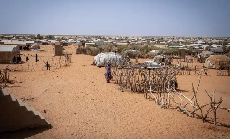 La parole juste au milieu du désert. 1 La parole juste au milieu du désert.