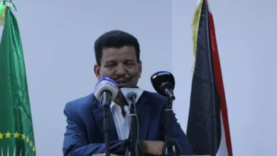 Le ministre des AE passe en revue les derniers développements de la question du Sahara occidental 2 Photo de Le ministre des AE passe en revue les derniers développements de la question du Sahara occidental