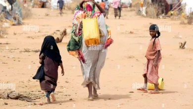 L’Or Bleu sous la Braise : Le Combat pour l’Eau en Mauritanie 2 Photo de L’Or Bleu sous la Braise : Le Combat pour l’Eau en Mauritanie