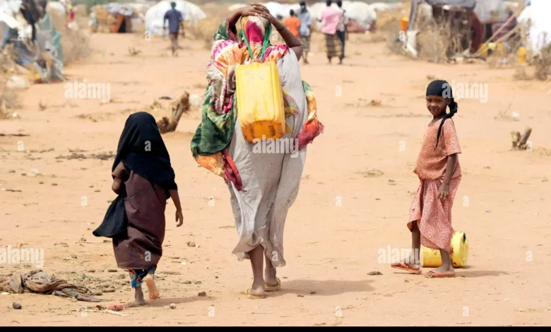 L’Or Bleu sous la Braise : Le Combat pour l’Eau en Mauritanie 1 Femme mauritanienne âgée portant des bidons d'eau traditionnels dans le désert, région de l'Assaba