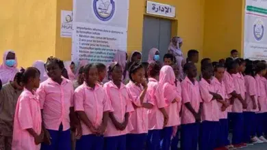 Protection de l'enfance en Mauritanie : Violences, Mariage précoce et rôle de l'AMSME 2 Photo de Protection de l’enfance en Mauritanie : Violences, Mariage précoce et rôle de l’AMSME