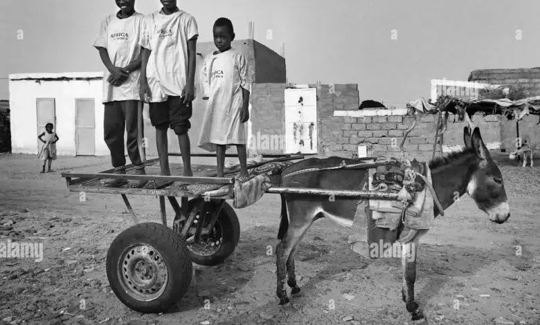 LE HOQUET DE LA TERRE MORTE 1 LE HOQUET DE LA TERRE MORTE , chronique d'Ahmed Ould Bettar