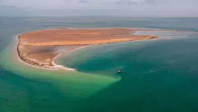 Forum Touristique International Mauritanie : Nouakchott devient le hub du voyage 2 Photo de Forum Touristique International Mauritanie : Nouakchott devient le hub du voyage
