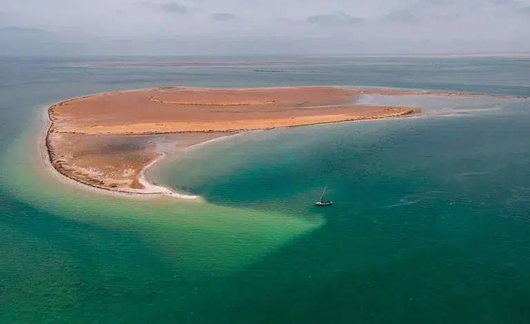 Forum Touristique International Mauritanie : Nouakchott devient le hub du voyage 1 Inauguration du Forum Touristique International de Mauritanie au centre Mirador de Nouakchott