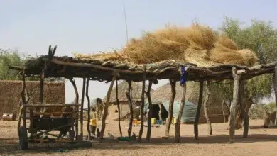 Mazilgha : un village en quête de reconnaissance et de justice 2 Photo de Mazilgha : un village en quête de reconnaissance et de justice