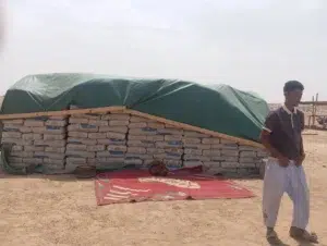 Élevage Aleg Brakna : la pose de la première pierre du marché à bétail marque un tournant pour l’élevage au Brakna. 2 Stock de sacs de ciment sur le chantier du marché à bétail d'Aleg, région du Brakna.