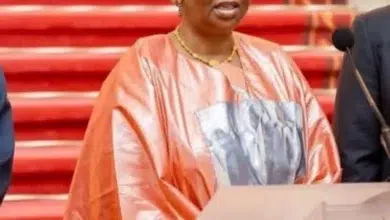 Candidature de Coumba Bâ à l'OIF : La Vision de la Mauritanie 2 Photo de Candidature de Coumba Bâ à l’OIF : La Vision de la Mauritanie