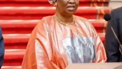 Candidature de Coumba Bâ à l'OIF : La Vision de la Mauritanie 2 Photo de Candidature de Coumba Bâ à l’OIF : La Vision de la Mauritanie