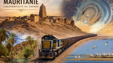 Pourquoi la Mauritanie devient la destination saharienne la plus authentique d'Afrique 2 Photo de Pourquoi la Mauritanie devient la destination saharienne la plus authentique d’Afrique