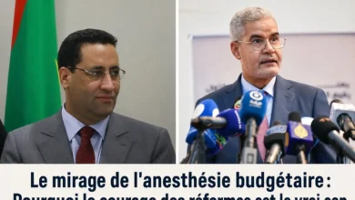 Le mirage de l'anesthésie budgétaire : Pourquoi le courage des réformes est le vrai cap 3 Photo de Le mirage de l’anesthésie budgétaire : Pourquoi le courage des réformes est le vrai cap