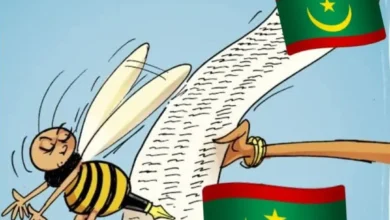 Pétition pour réviser la Constitution : un débat sur l'unité nationale en Mauritanie 2 Photo de Pétition pour réviser la Constitution : un débat sur l’unité nationale en Mauritanie