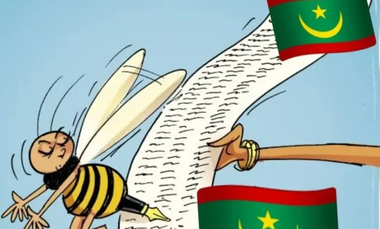 Pétition pour réviser la Constitution : un débat sur l'unité nationale en Mauritanie 4 Photo de Pétition pour réviser la Constitution : un débat sur l’unité nationale en Mauritanie