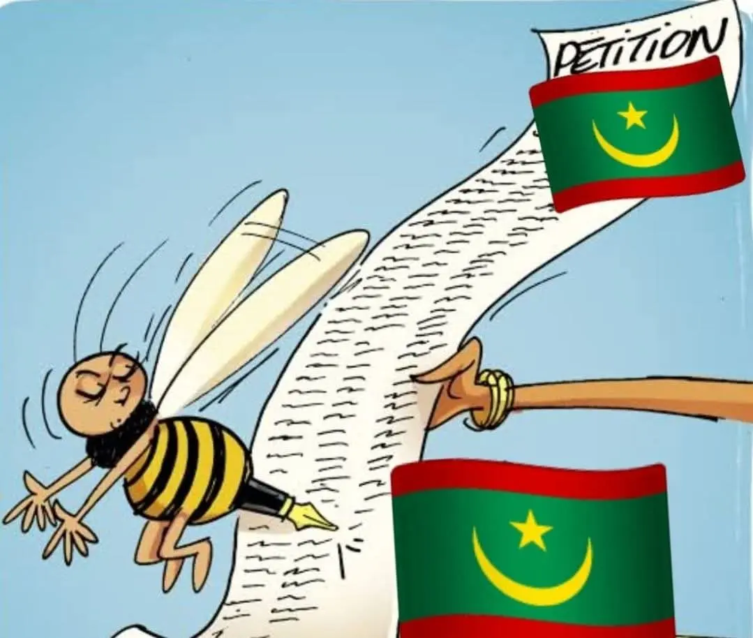Pétition pour réviser la Constitution : un débat sur l’unité nationale en Mauritanie