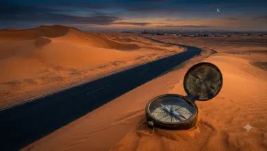 La Mauritanie, ou le pays qui marche sans boussole 2 Photo de La Mauritanie, ou le pays qui marche sans boussole