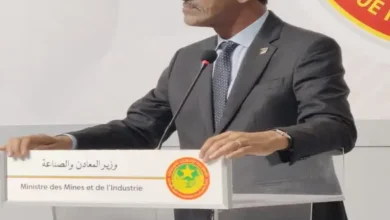 Projet d'El Aouj en Mauritanie : Décision stratégique majeure pour la SNIM et le secteur minier 2 Photo de Projet d’El Aouj en Mauritanie : Décision stratégique majeure pour la SNIM et le secteur minier