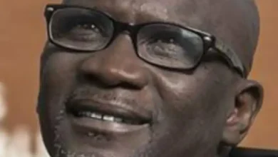 Il n'y aura pas de troisième mandat ! – Gourmo Abdoul Lô 2 Photo de Il n’y aura pas de troisième mandat ! – Gourmo Abdoul Lô