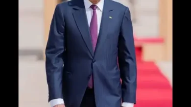 Diplomatie de la mesure : la constance mauritanienne consacrée | El Wely Sidi Heiba 2 Photo de Diplomatie de la mesure : la constance mauritanienne consacrée | El Wely Sidi Heiba