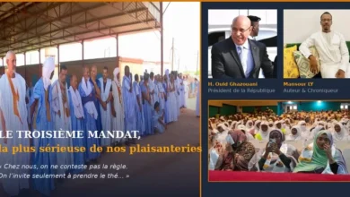 Le troisième mandat en Mauritanie : la plus sérieuse de nos plaisanteries - Mansour LY 2 Photo de Le troisième mandat en Mauritanie : la plus sérieuse de nos plaisanteries – Mansour LY