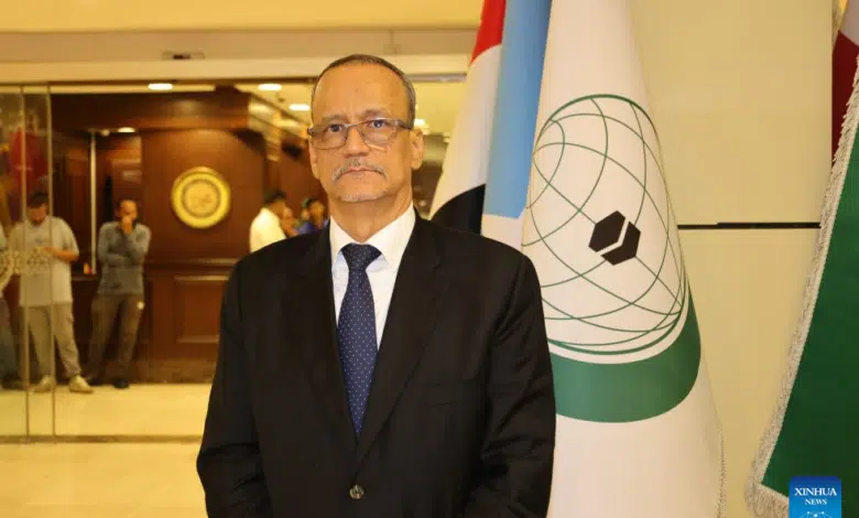 Secrétaire général de l'OCI : le Mauritanien Ismail Ould Cheikh Ahmed élu 4 Photo de Secrétaire général de l’OCI : le Mauritanien Ismail Ould Cheikh Ahmed élu