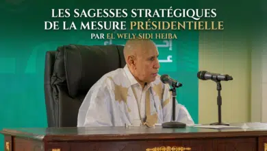 Sagesses stratégiques : la gouvernance de mesure du Président Ghazouani 2 Photo de Sagesses stratégiques : la gouvernance de mesure du Président Ghazouani