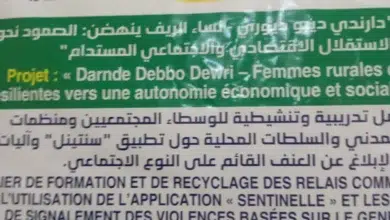 Boghé : digitalisation du signalement des VBG grâce à l’application Sentinelle 2 Photo de Boghé : digitalisation du signalement des VBG grâce à l’application Sentinelle
