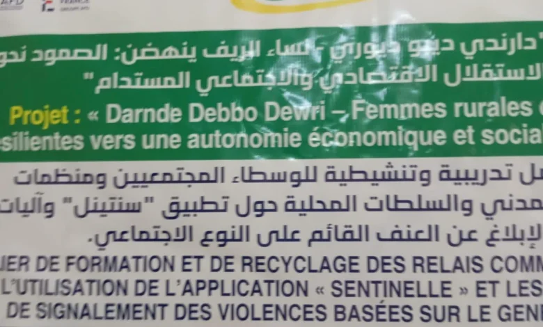 Boghé : digitalisation du signalement des VBG grâce à l’application Sentinelle 1 Photo de Boghé : digitalisation du signalement des VBG grâce à l’application Sentinelle