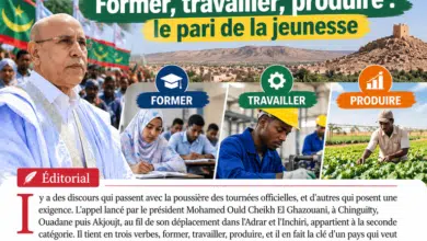 Former, travailler, produire : le pari de la jeunesse - Rapide info 2 Photo de Former, travailler, produire : le pari de la jeunesse – Rapide info