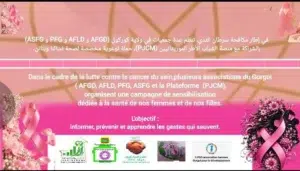 Kaédi : l'hôtel Yewti pris d'assaut pour la campagne « Octobre Rose » contre le cancer du sein 3 Banderole officielle de la campagne Octobre Rose au Gorgol organisée par les associations AFGD, AFLD, PFG, ASFG et la plateforme PJCM pour la santé des femmes et des filles.