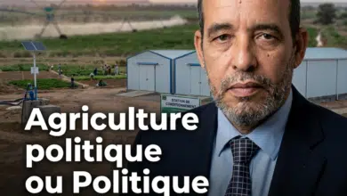 Agriculture politique ou Politique agricole ? 2 Photo de Agriculture politique ou Politique agricole ?