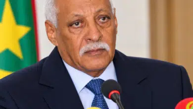 ما الذي يبقى من الدولة عندما يُمزَّق الدستور ويُلغى القانون؟ 3 Photo de ما الذي يبقى من الدولة عندما يُمزَّق الدستور ويُلغى القانون؟